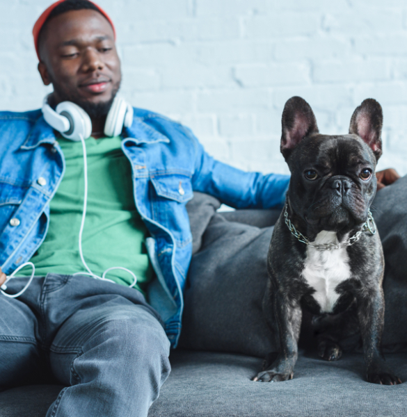 Resident on the couch with their dog at our apartments for rent in Baltimore.